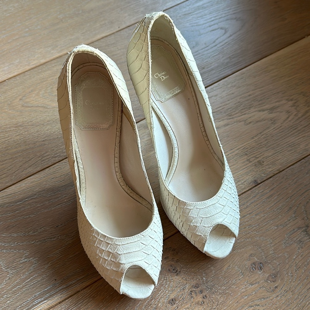 Christian Dior beautiful shoes